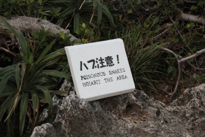 2月沖縄旅行 (114)